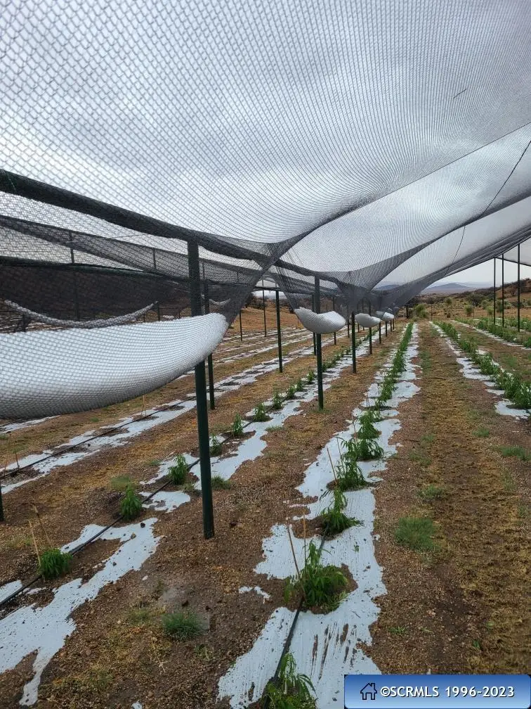 131 Old Ranch Road, Silver City, NM 88061 - #2