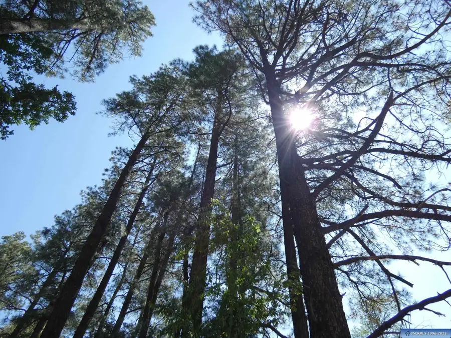 287 Cooney Road, Mimbres, NM 88049 - #3