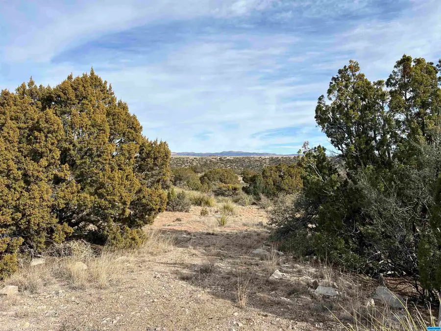 1311 S Hwy 90, Silver City, NM 88061 - #2