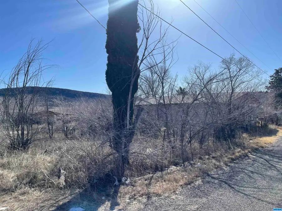 19 Geronimo Street, Hurley, NM 88043 - #3