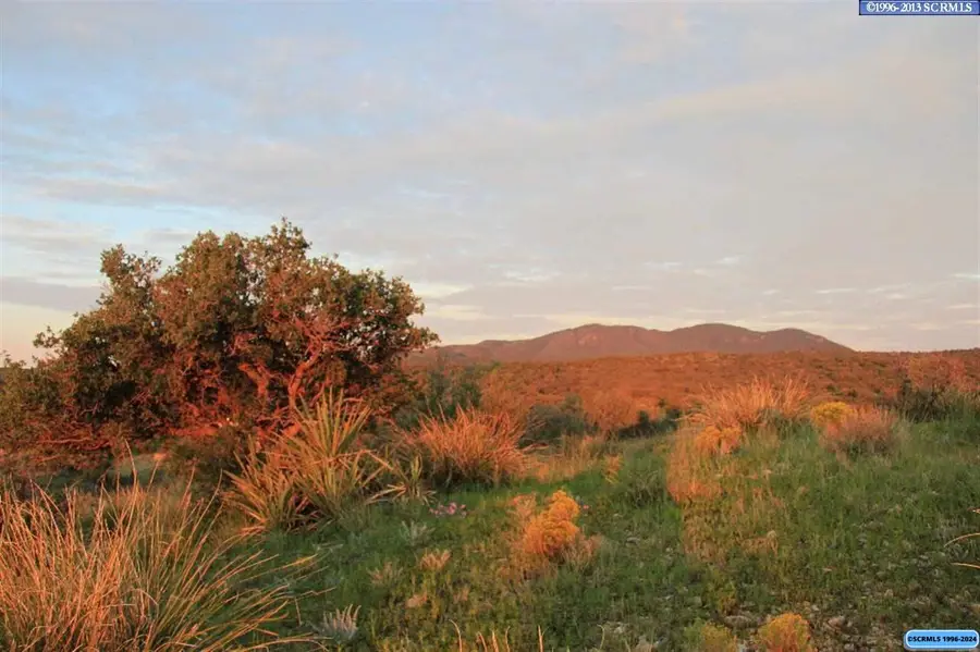 64 Apache Mound Road, Silver City, NM 88061 - #2