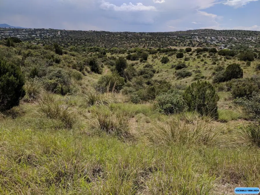 xxx Mountain View Road, Silver City, NM 88061 - #3