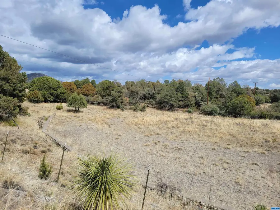 Cain Drive, Silver City, NM 88061 - #3