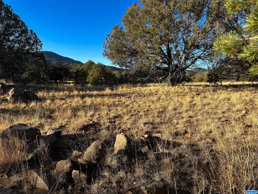 100 Black Dog, Silver City, NM 88061 - #2