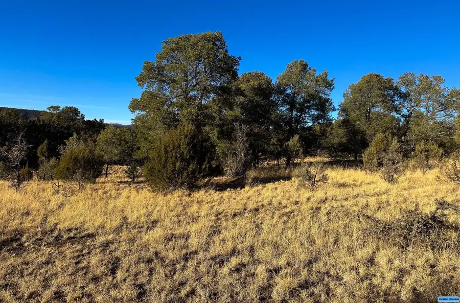 100 Black Dog, Silver City, NM 88061 - #3