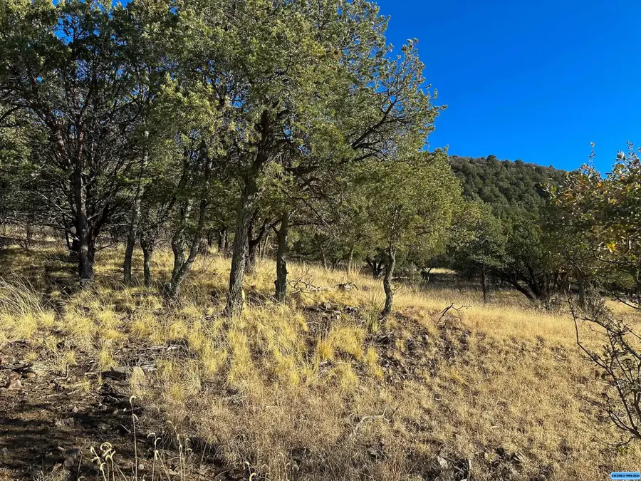 200 Black Dog, Silver City, NM 88061 - #3