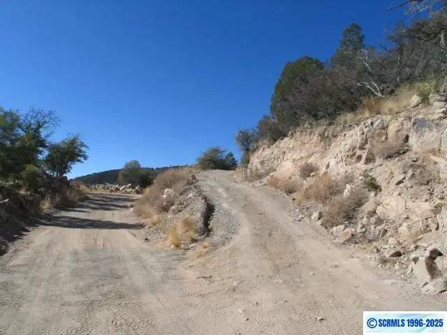 9 Radio Tower Road, Silver City, NM 88061-0000 - #2