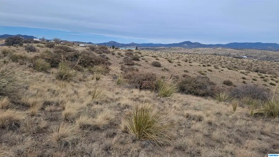 XX Ridge Road Tr 8, Silver City, NM 88061 - #3