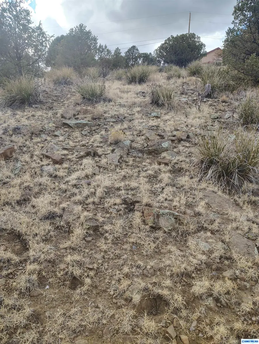 xx Cottonwood Road, Silver City, NM 88061 - #3