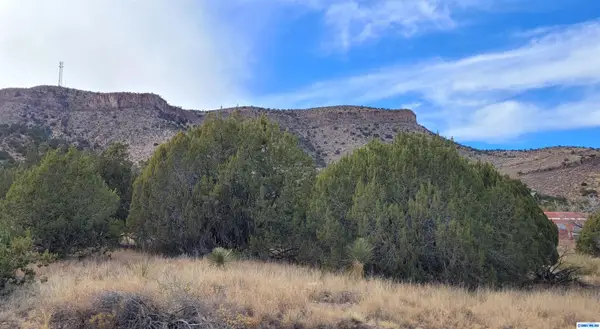 274 Manzana Rojo Road, Mimbres, NM 88049