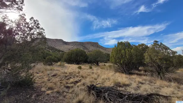 278 Manzana Rojo Road, Mimbres, NM 88049