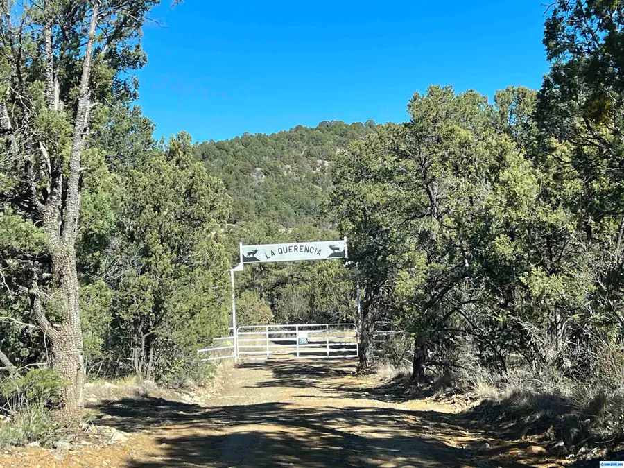 226 Windmill Pasture Road, Hanover, NM 88041 - #2