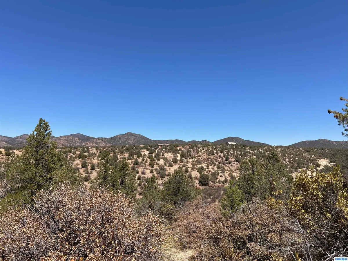 26 Babbling Brook Road #Lot 135, Silver City, NM 88061 - #1