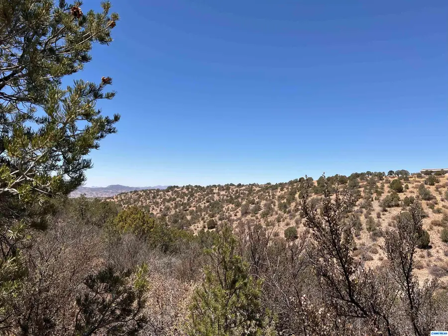 26 Babbling Brook Road #Lot 135, Silver City, NM 88061 - #2