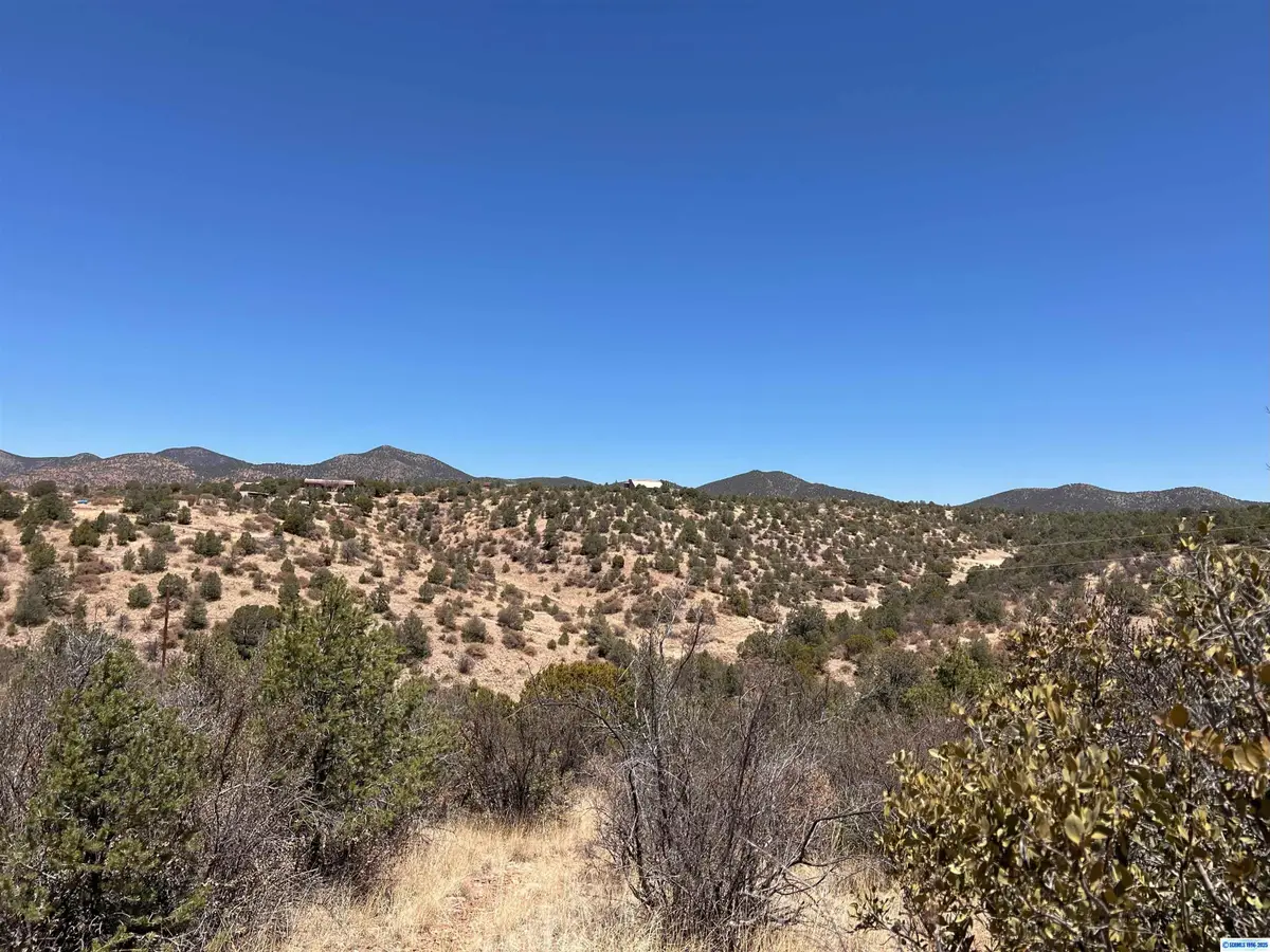 XX Babbling Brook Road #Lot 136, Silver City, NM 88061 - #1