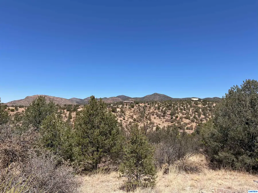 26 Babbling Brook Road, Silver City, NM 88061 - #2