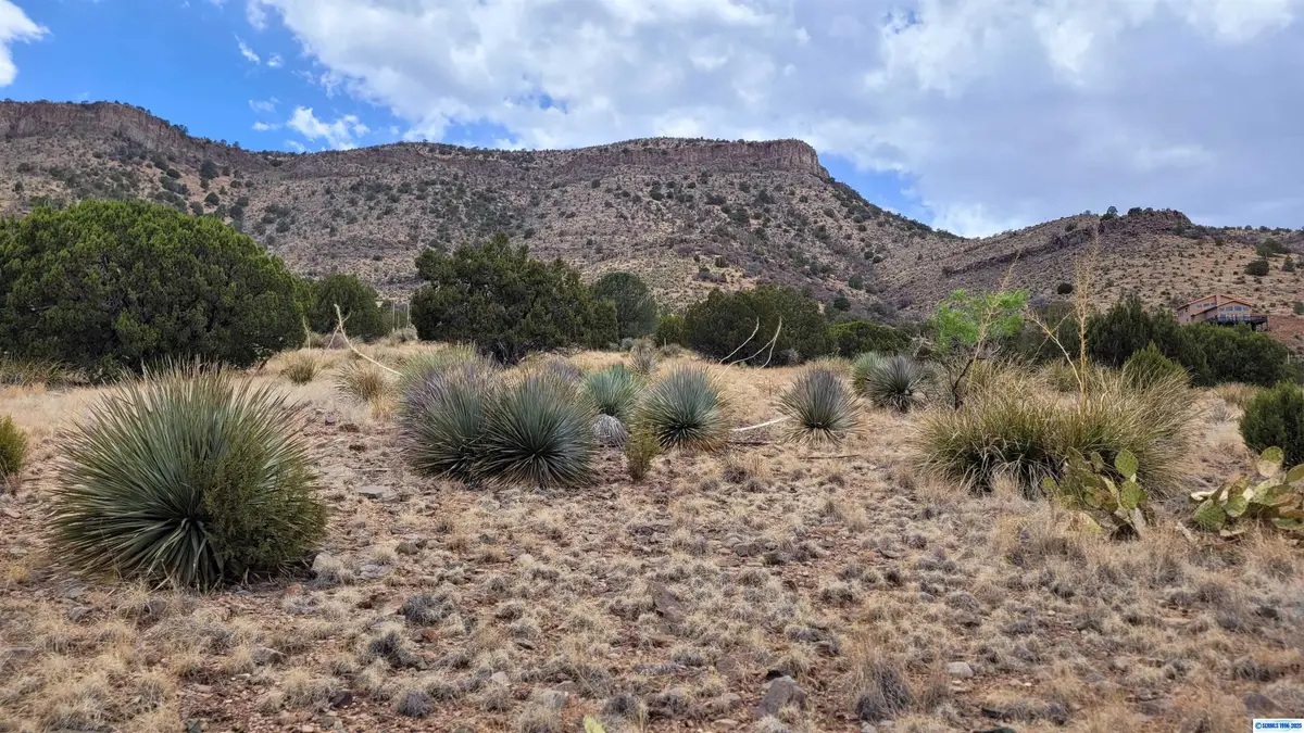 242 Rio Vista Road, Mimbres, NM 88049 - #1