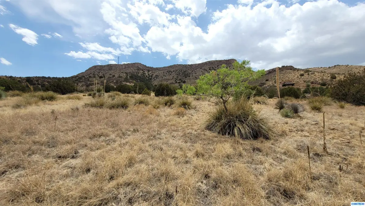 246 Rio Vista Road, Mimbres, NM 88049 - #1