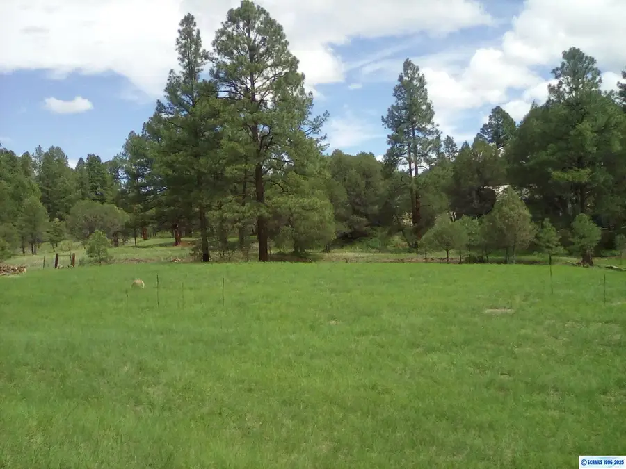 4007 N Hwy 35, Mimbres, NM 88049 - #3
