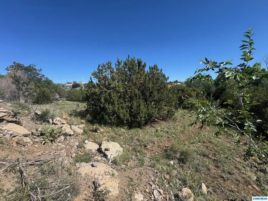 2255 Pinos Altos Road, Silver City, NM 88061 - #2