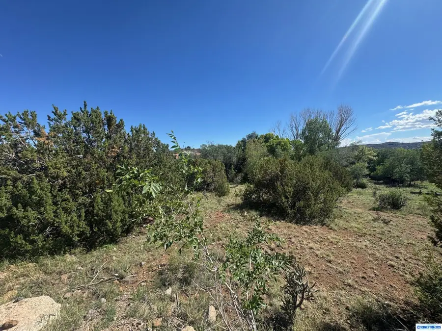 2255 Pinos Altos Road, Silver City, NM 88061 - #3