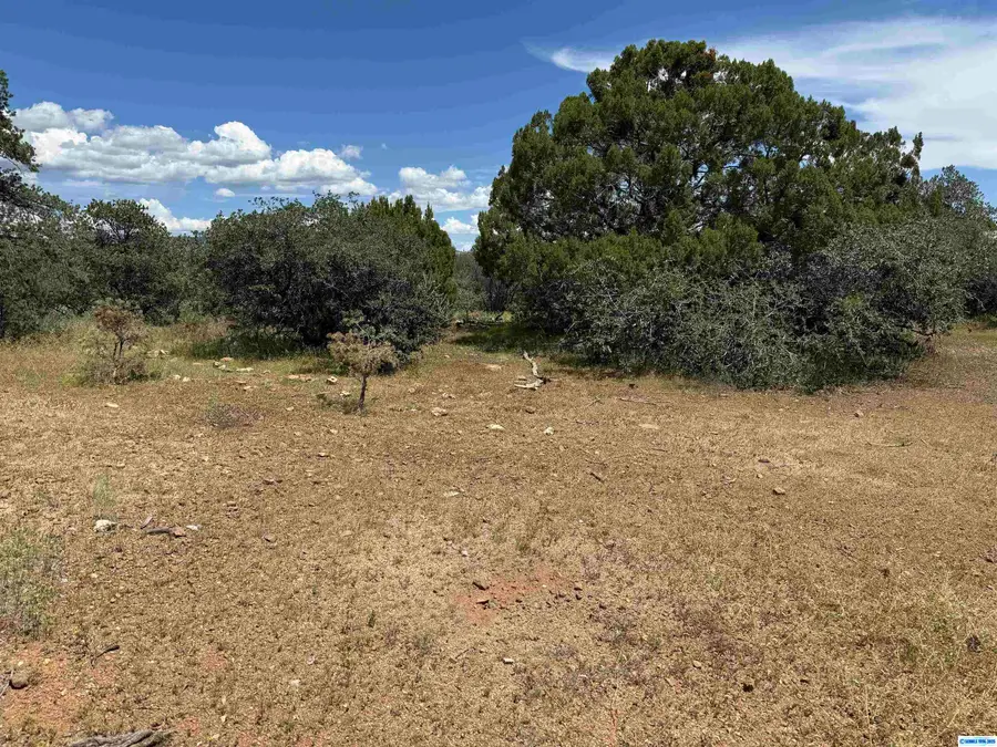 2217 Ponderosa Street, Silver City, NM 88061 - #3