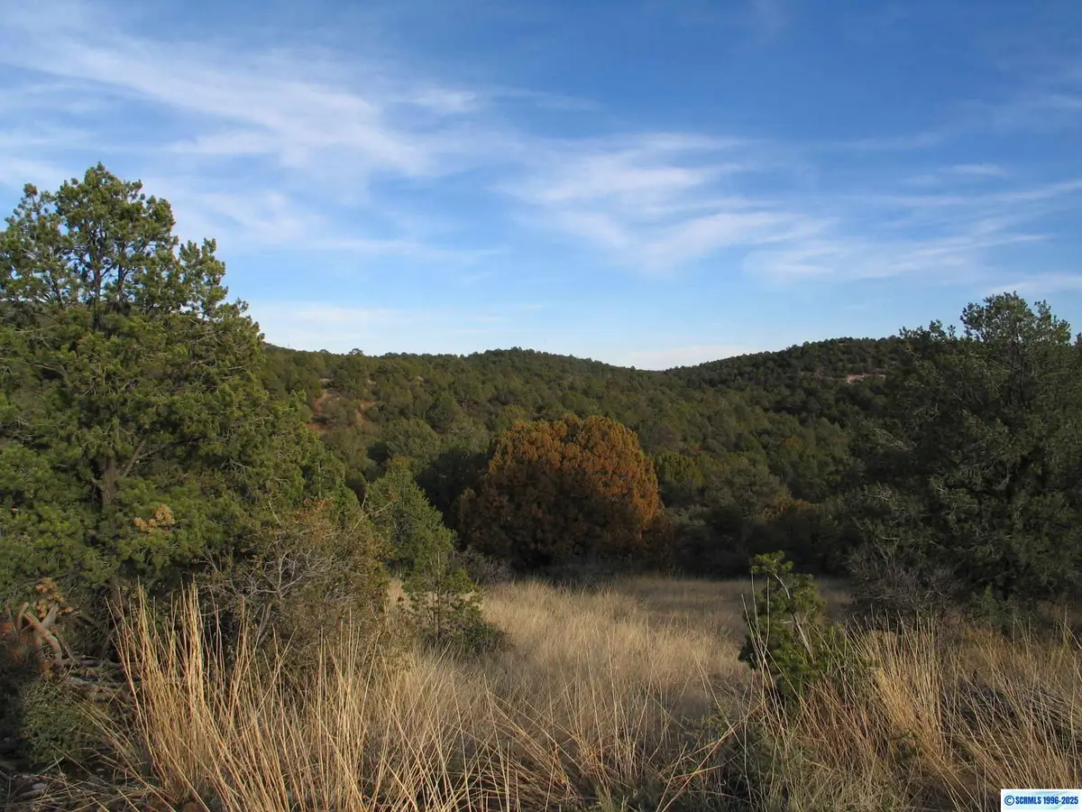 00 Camino De Viento Road, Silver City, NM 88061-0000 - #1