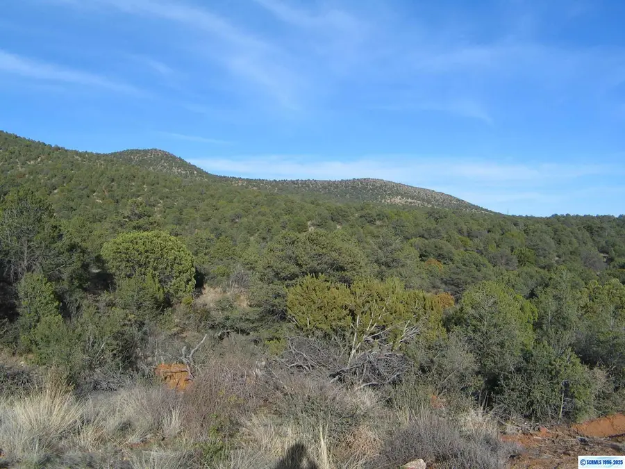 00 Camino De Viento Road, Silver City, NM 88061-0000 - #3