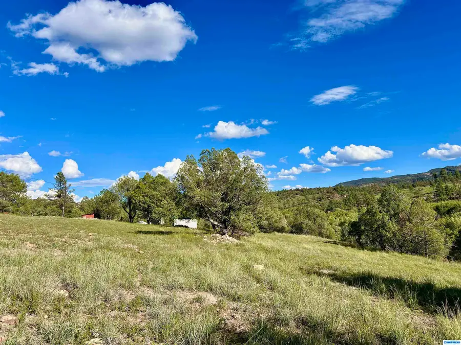 1076 Highway 35, Mimbres, NM 88049-8053 - #2
