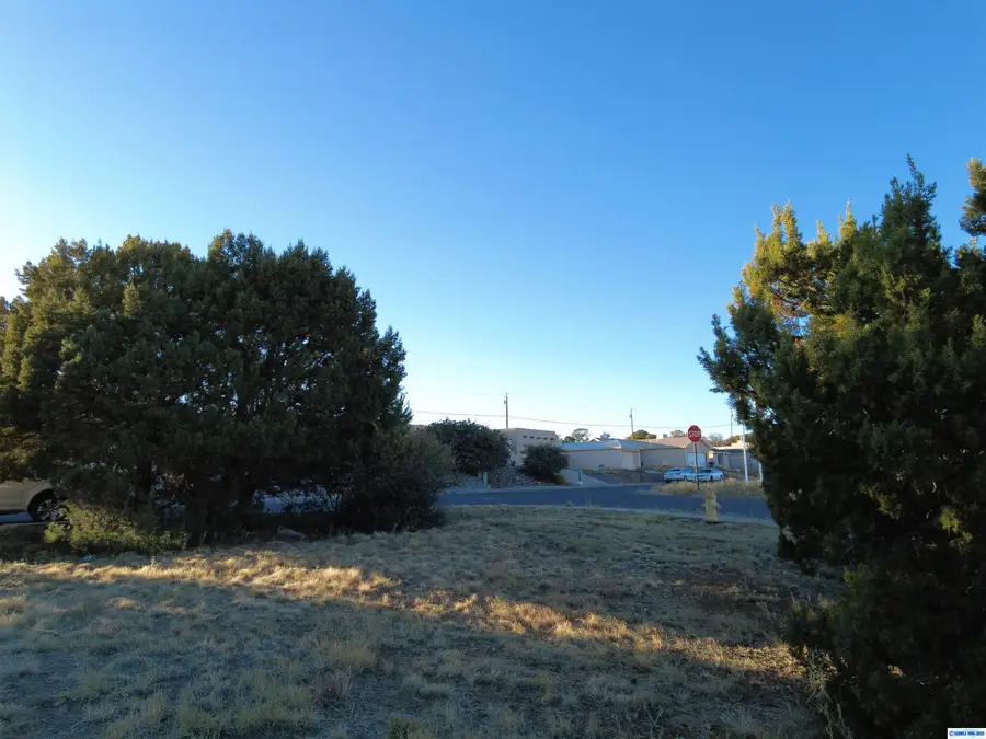 ## Los Pinos, Silver City, NM 88061 - #2