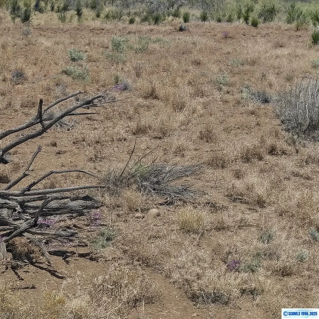 XX C Street, San Lorenzo, NM 88041 - #1