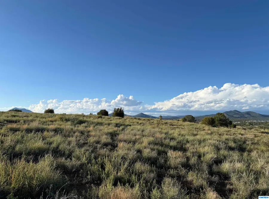 26 Hitchin Post Ridge, Silver City, NM 88061-0000 - #3