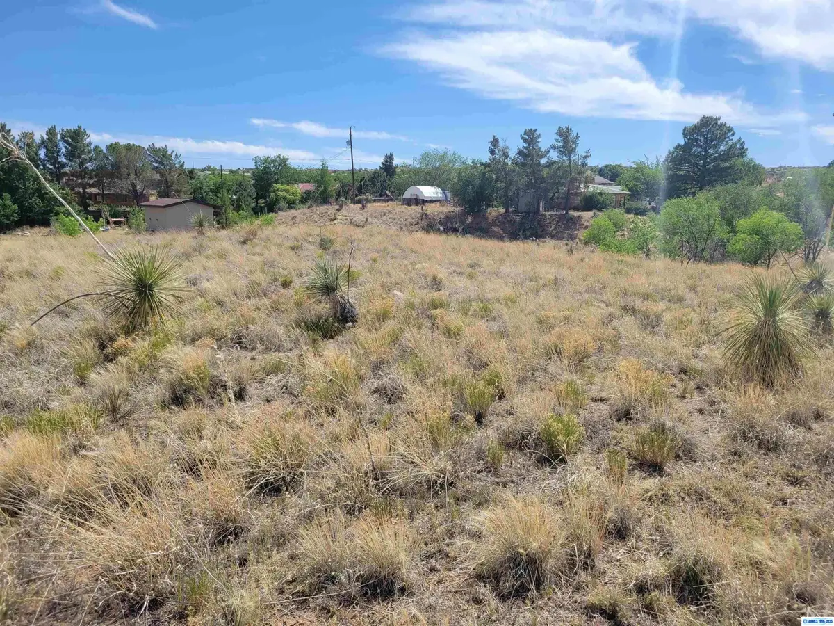 8xx Lance Drive, Silver City, NM 88061 - #1