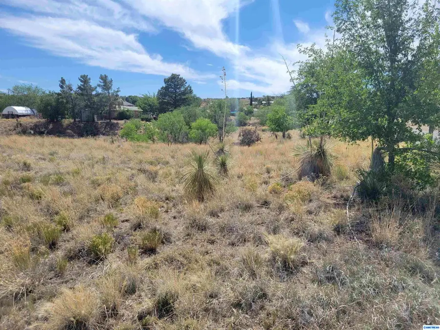 8xx Lance Drive, Silver City, NM 88061 - #3