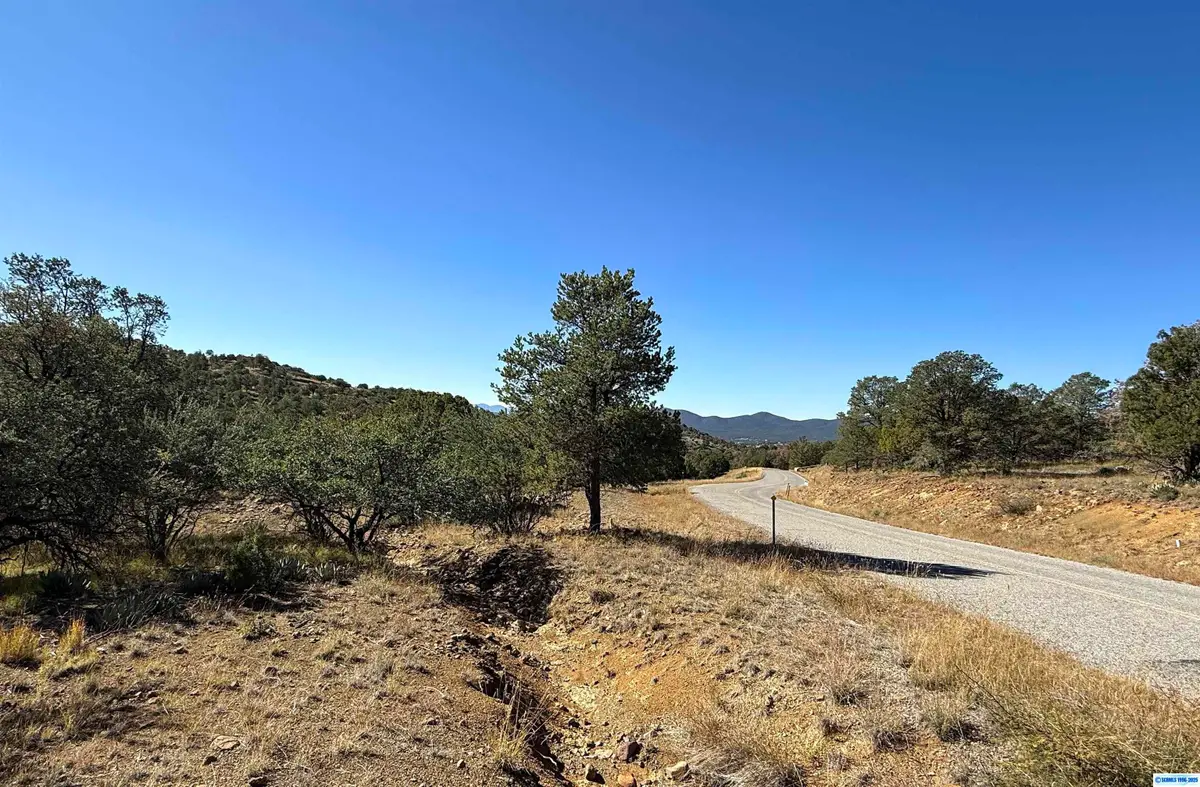 3 Lots N Swan Street #LOTS 72, 73, 74, Silver City, NM 88061 - #1
