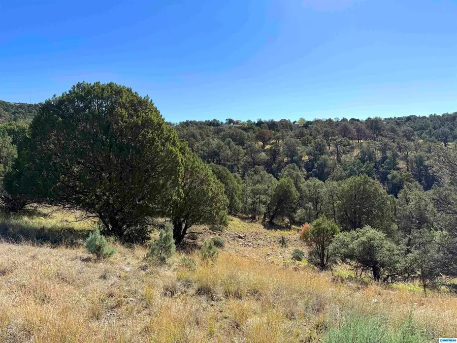 3 Lots N Swan Street #LOTS 72, 73, 74, Silver City, NM 88061 - #2