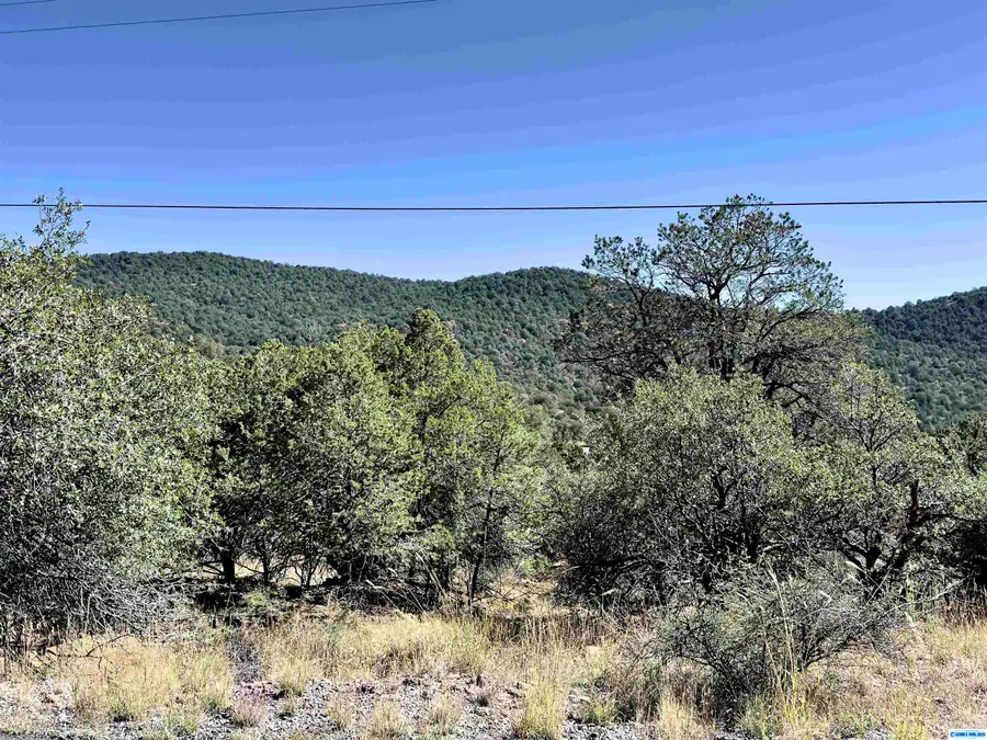 XX NE Swan, Silver City, NM 88061 - #2