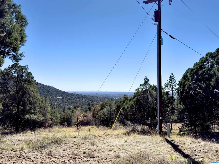 XX NE Swan, Silver City, NM 88061 - #3