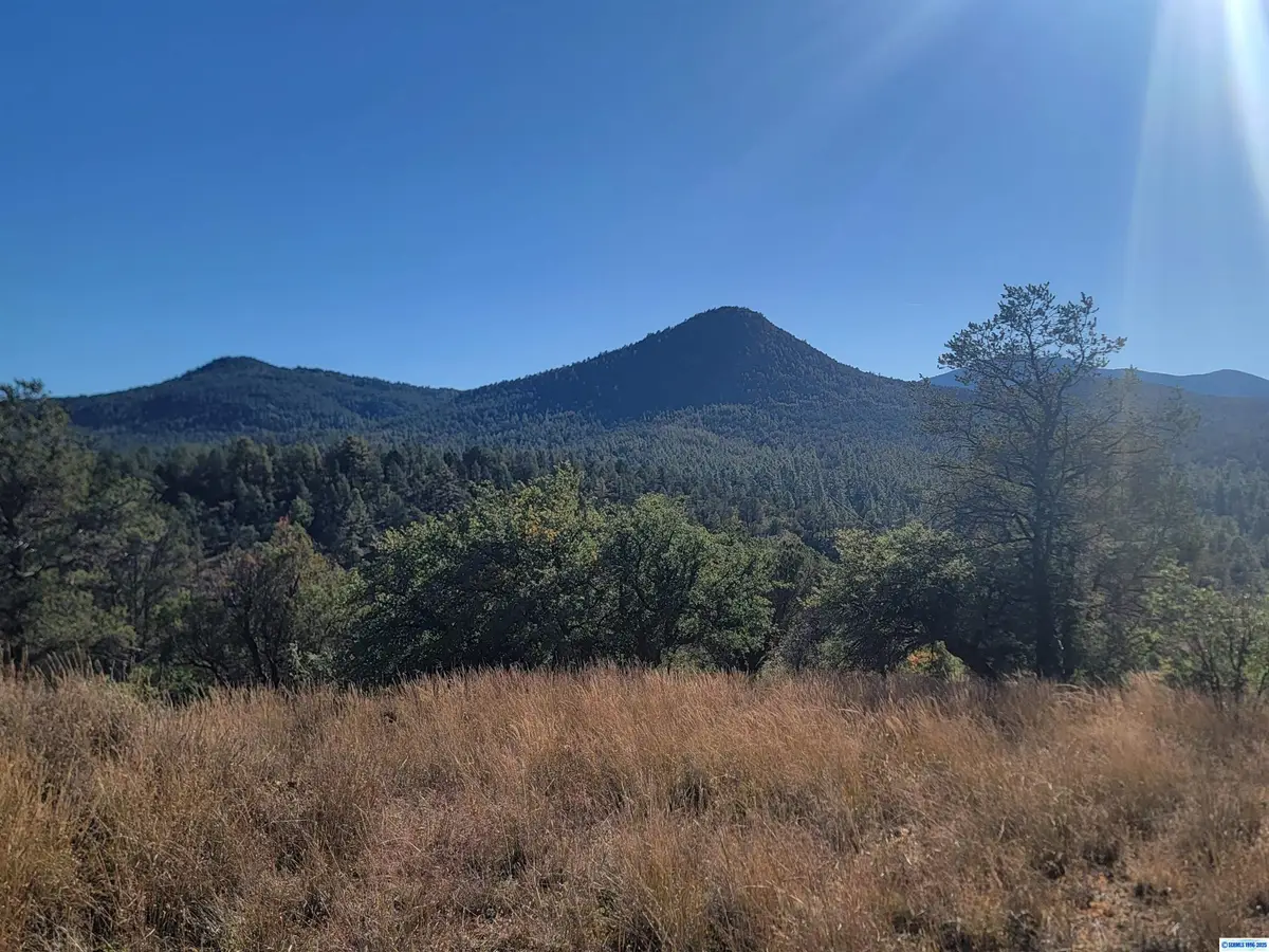 Address Withheld By Seller, Silver City, NM 88061 - #1