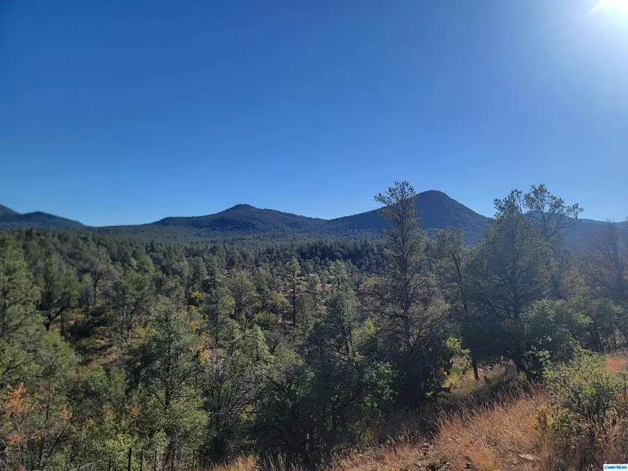 Address Withheld By Seller, Silver City, NM 88061 - #2