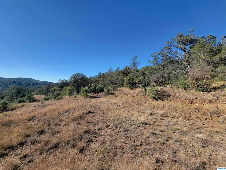 Address Withheld By Seller, Silver City, NM 88061 - #3