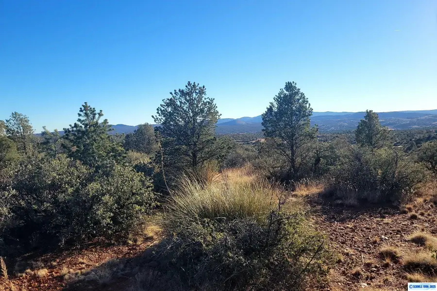 XX Mesita Circle, Silver City, NM 88061 - #2