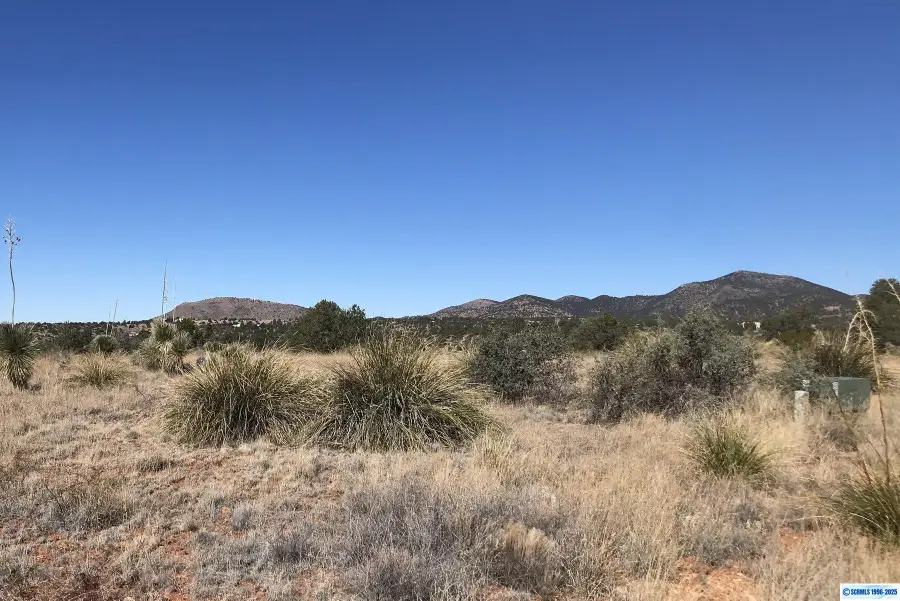 XX Mesita Circle, Silver City, NM 88061 - #3