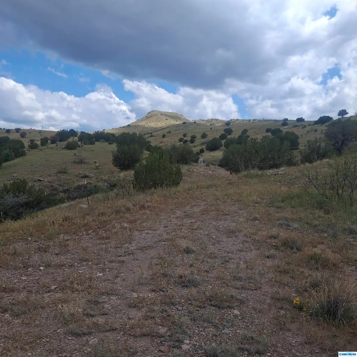 XX Hot Springs Canyon Road, Faywood, NM 88034 - #1