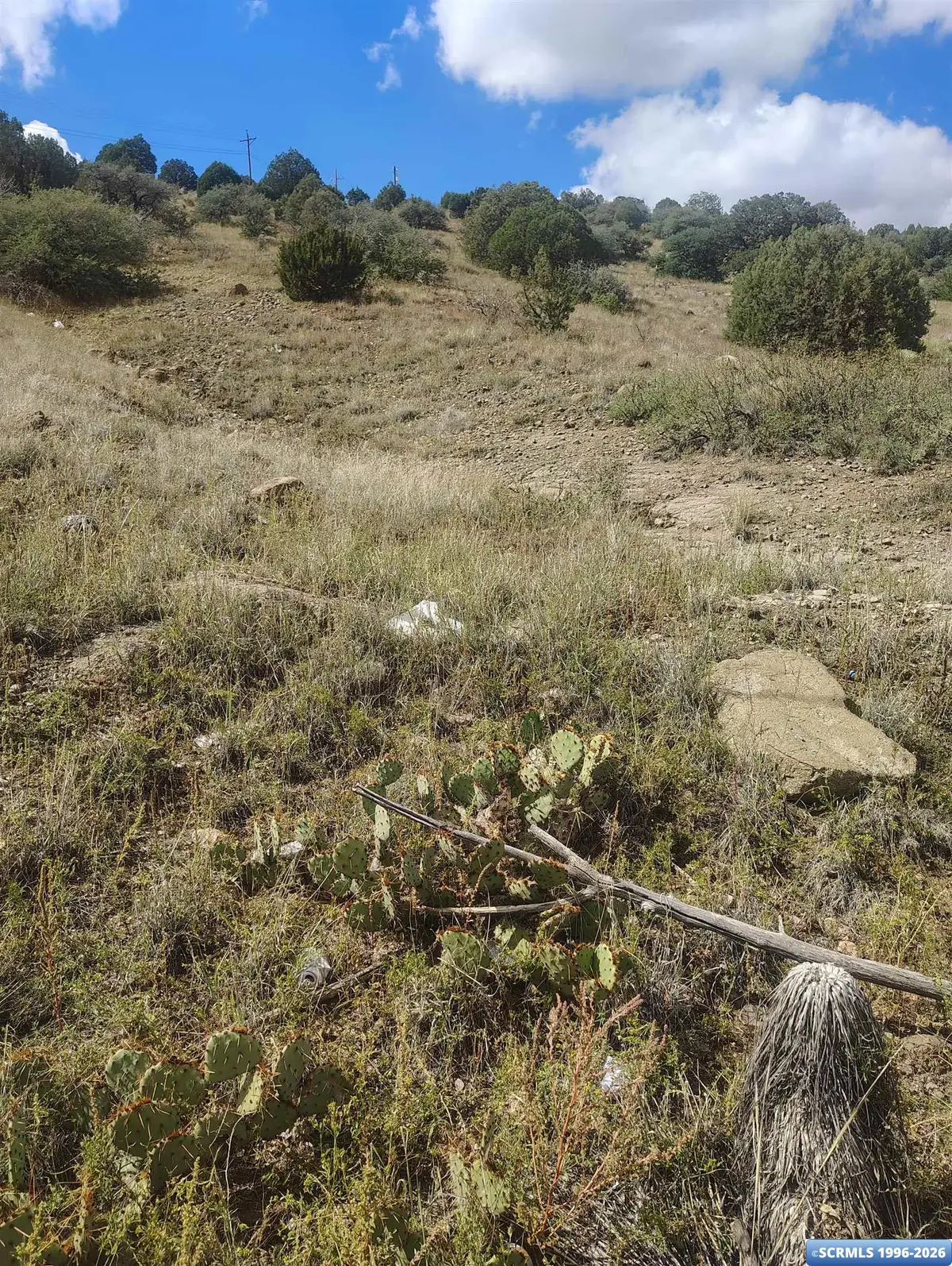 xx Royal Street, Bayard, NM 88023 - #1