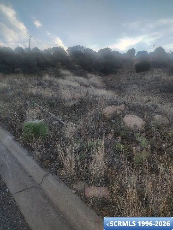 xx Royal Street, Bayard, NM 88023 - #2