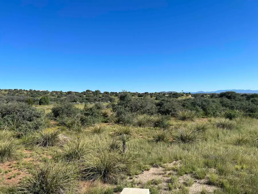 2764 S Highway 90, Silver City, NM 88061 - #2