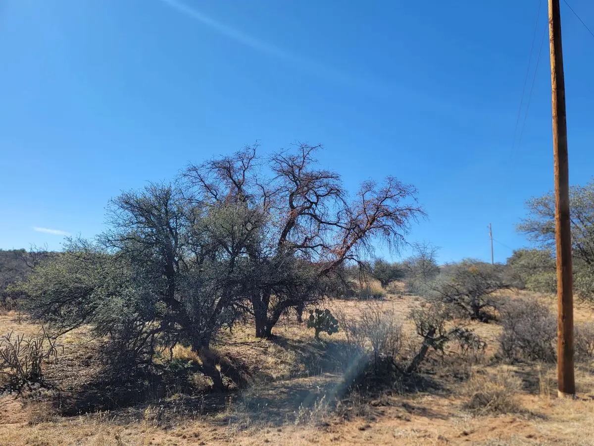 Address Withheld By Seller, Silver City, NM 88061 - #1