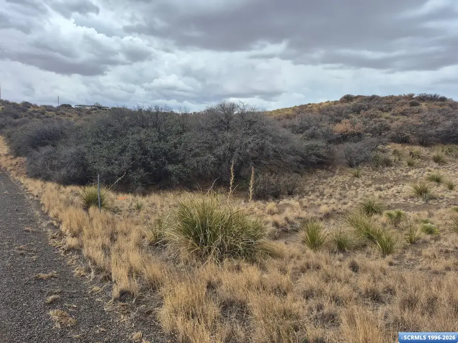xx Bonita Ave Avenue, Silver City, NM 88061 - #3