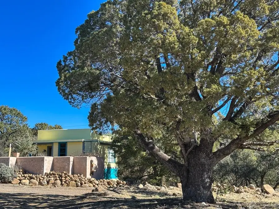 33 Euphoria, Silver City, NM 88061 - #3